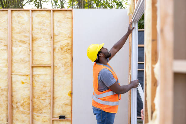 Best Cellulose Insulation  in Bellwood, VA
