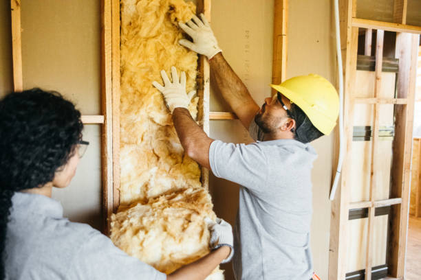 Best Insulation Contractors for Homes  in Bellwood, VA