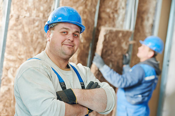 Best Best Insulation Companies  in Bellwood, VA