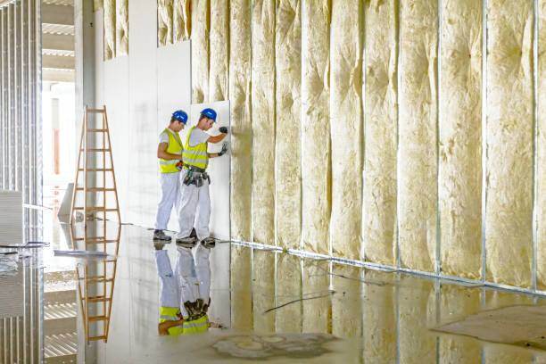 Best Insulation for New Construction  in Bellwood, VA